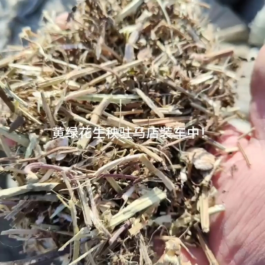 邓州市花生秧
