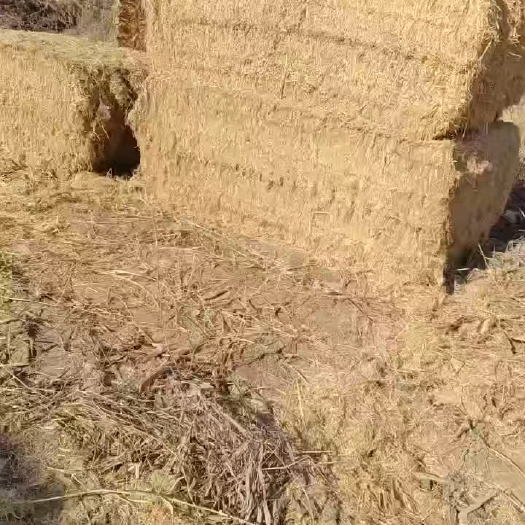 固安县秸秆