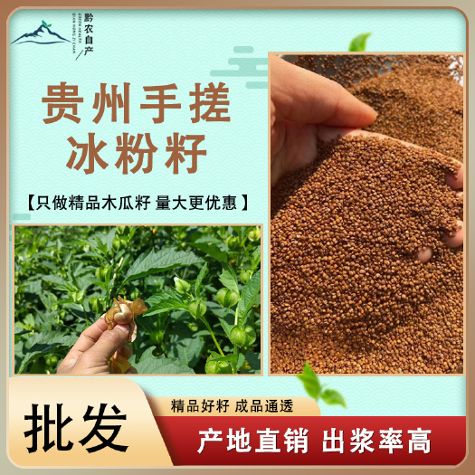 赫章县手搓冰粉籽批发摆摊今年新籽