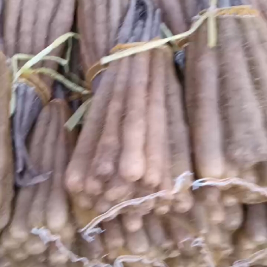 大名县双棒三路