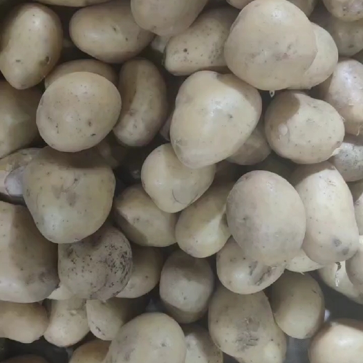 土豆掉价了