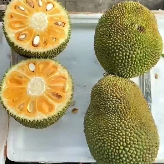 万宁市菠萝蜜