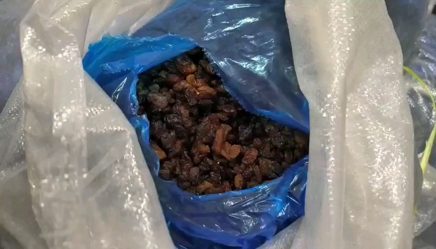 济南出葡萄干几十吨