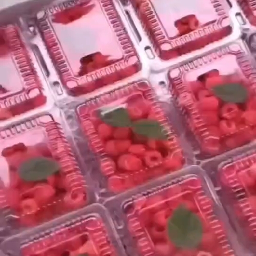 法库县树莓