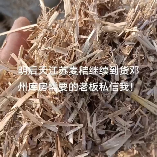 邓州市小麦秸秆