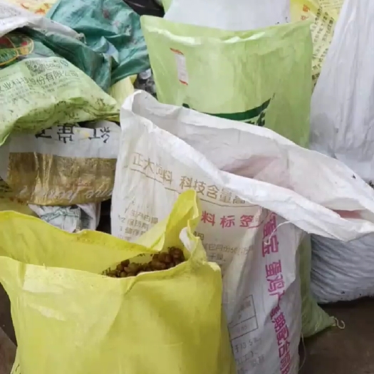 浠水县元胡