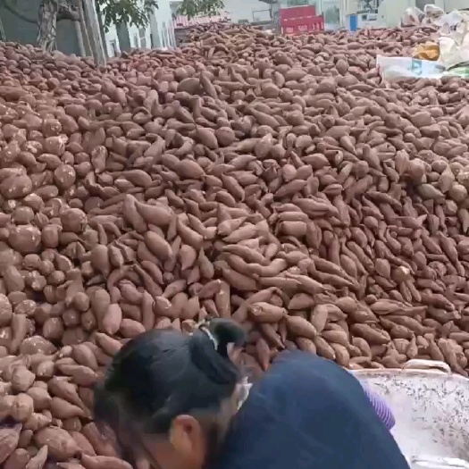 资阳量大，价优，装车方便