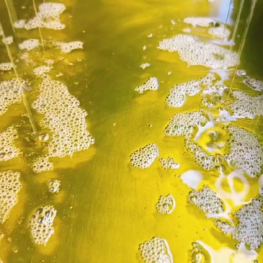 宁明县茶油 山茶油