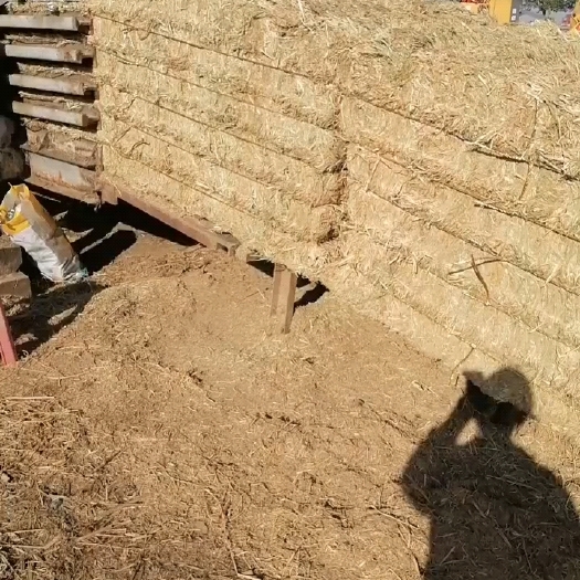 黄梅县稻草