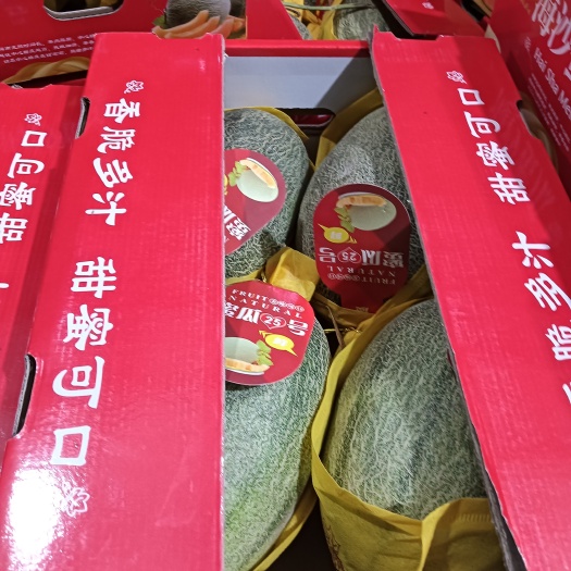 乐东县海南小蜜25