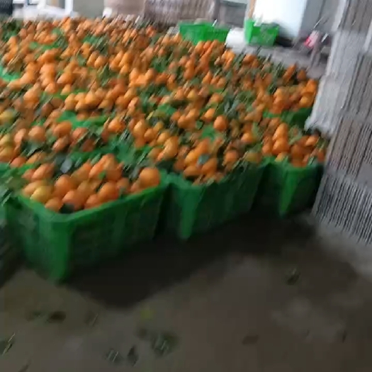奉节纽荷尔