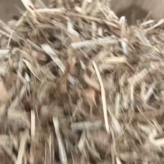 单县花生秧