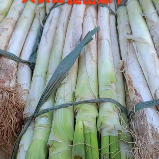安丘市本处加工葱段葱杆，大量批发，质优价廉价格美丽！欢迎新老客户！