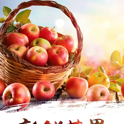 江门冰糖心红富士苹果