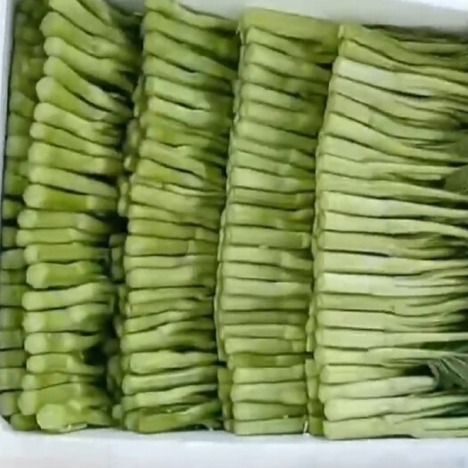 上海大量精品 广东菜心 长期供应，需要的老板们看过来 …