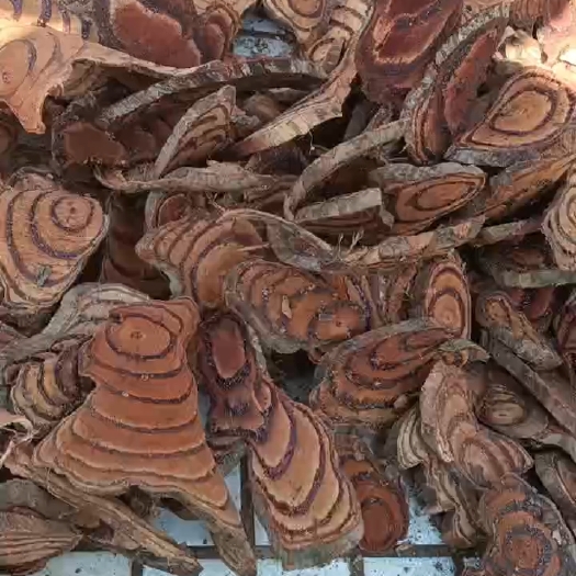 新丰县鸡血藤藤中大片