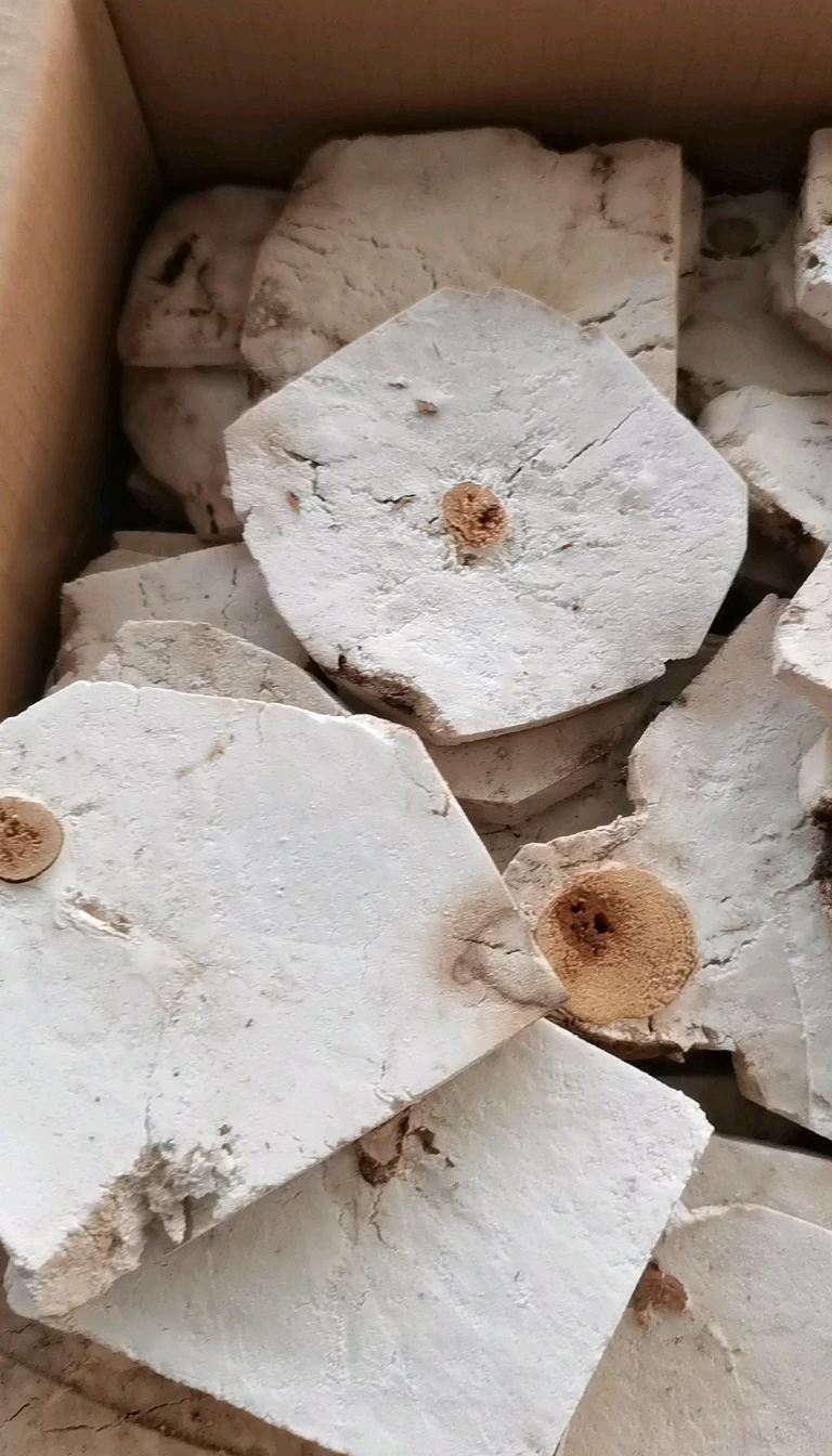 茯神