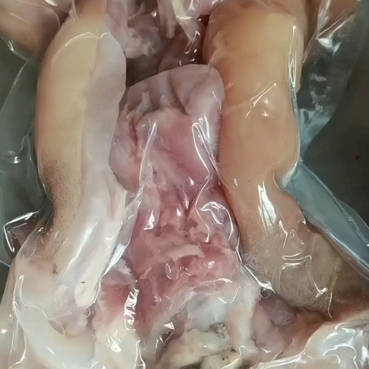 阳信县火烧毛全熟全去骨牛蹄