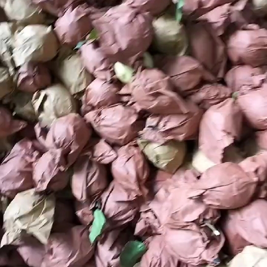 长沙尤力克