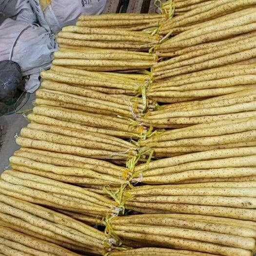 蠡县双棒紫药小白嘴铁棍大货小货，支持各种包装