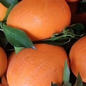 奉节奉节脐橙 二级果 电商果