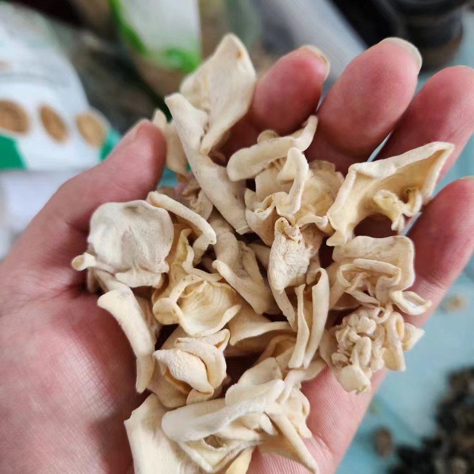 长白山玉木耳干货批发白玉木耳竹耳兔耳菌