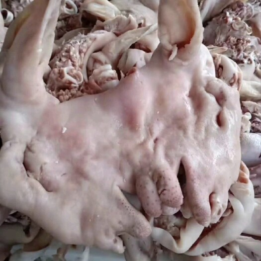 羊头肉全熟山羊头肉，瘦肉多，十成熟厂家直销
