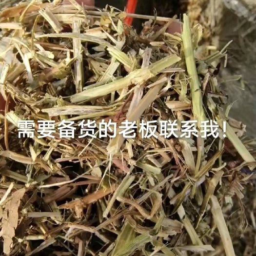 淅川县花生秧