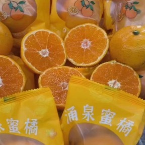 橙子