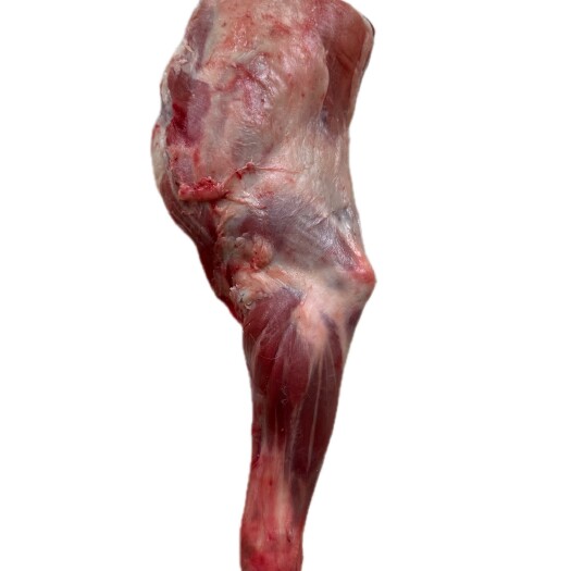 大厂县2.5-3斤国产羔羊前腿 烧烤专用 清真