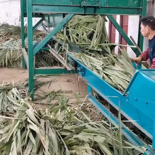 河池增加益生菌发酵，有利于肠胃吸收，保存时间长，