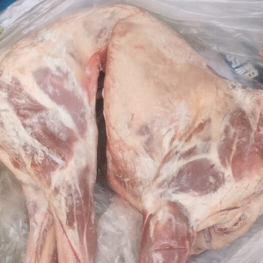 菏泽无水剔骨羊肉，羊白条，褪毛羊，烤全羊