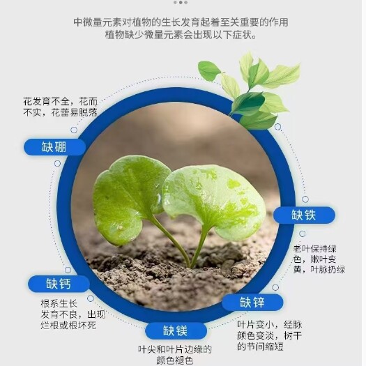 郑州水溶肥，颗粒菌肥