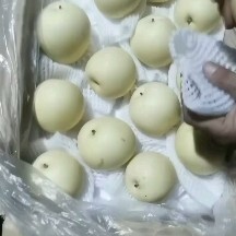 蠡县黄冠梨