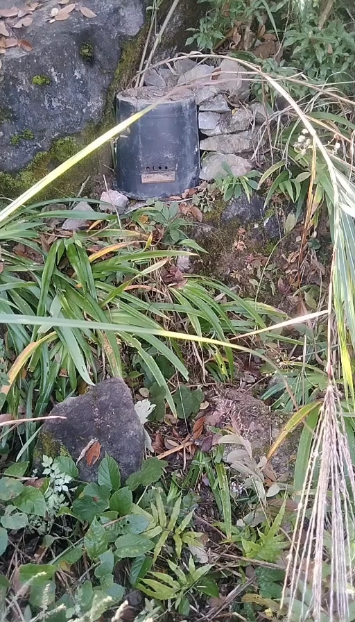 江口县土蜂蜜