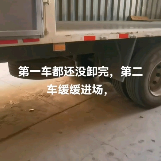 长沙县精品双色新杨黑，新阳绿，宝强绿，