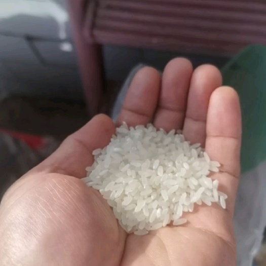 米质坚硬，晶莹剔透，自带香味，经久不散