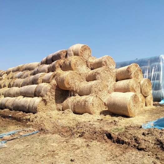 大邑县水稻草二次加工旋除尘小套袋30~35kg
