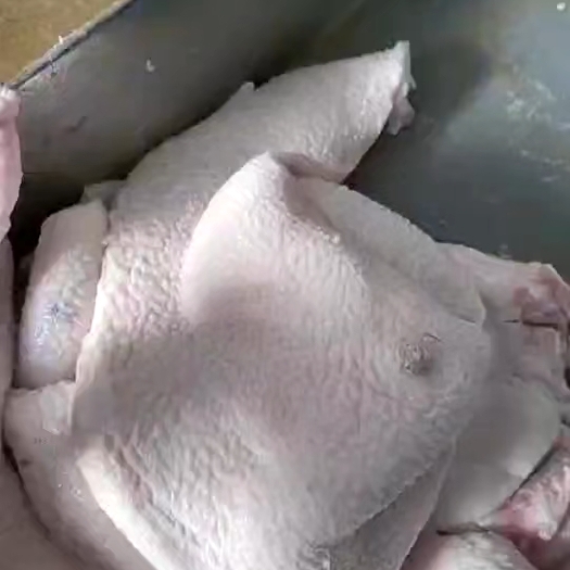 阜阳白瞟