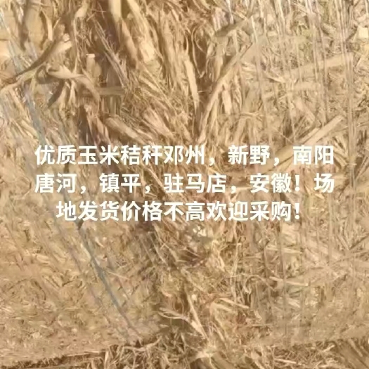 淅川县玉米秸秆