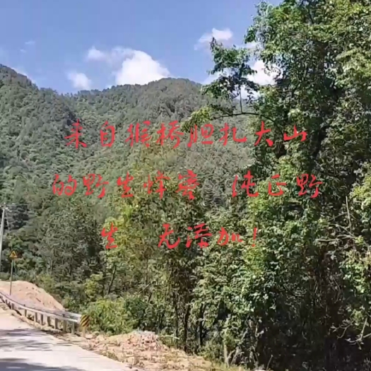 腾冲市来自滇西大山的野生蜂蜜！