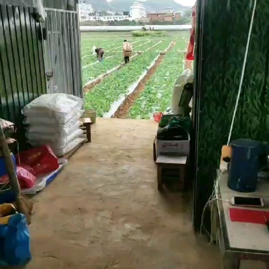 易门县黔莓