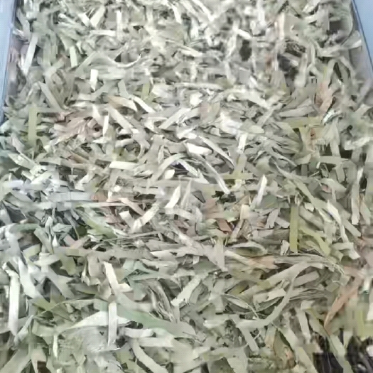 枣庄荷叶丝，荷叶块，荷叶茶