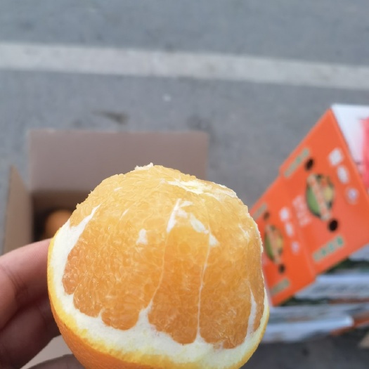 济南赣南安西脐橙皮薄肉厚