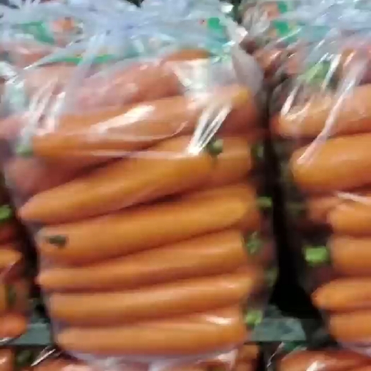 郸城县胡萝卜