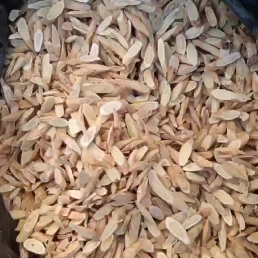 陇西县黄芪指甲片。 规格4－8的。 因为是黄芪的主产区， 常年走货