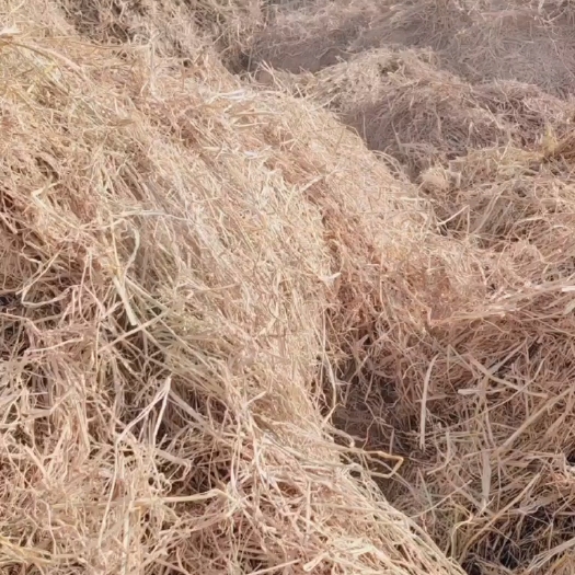 洪湖市揉丝稻草