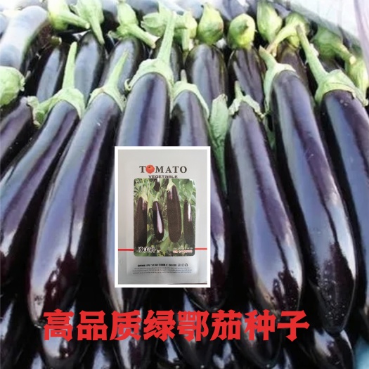 绵阳绿鄂长茄籽绿把长茄籽绿鄂片茄子种子绿把茄子种子少籽肉厚