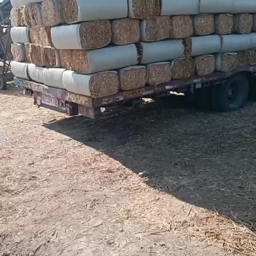 正阳县小麦秸秆正在加工中，有需要的抓紧联系去年的货。全都是一级货