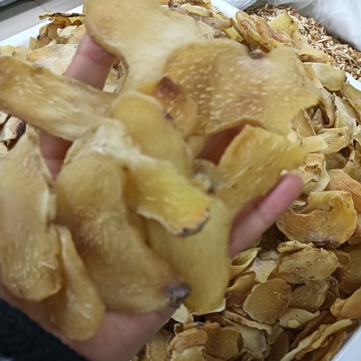 成都黄精片，无硫黄精片，